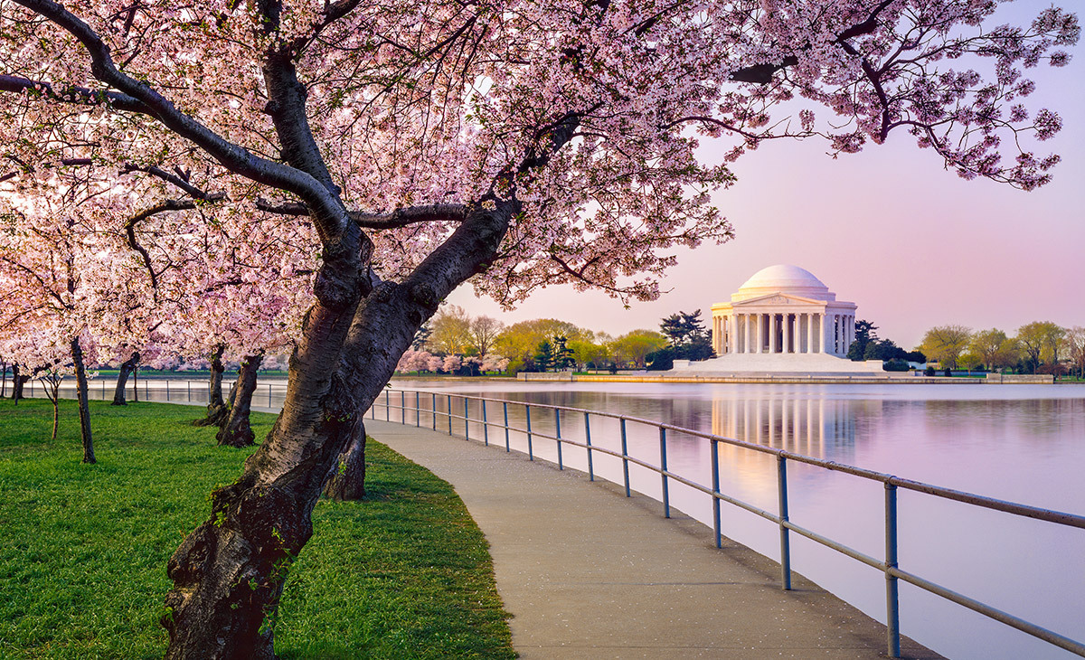 Photo of Washington, D.C.